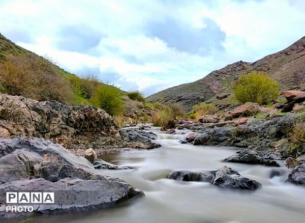 بازگشت بهار؛ آواز دوباره‌ی زندگی