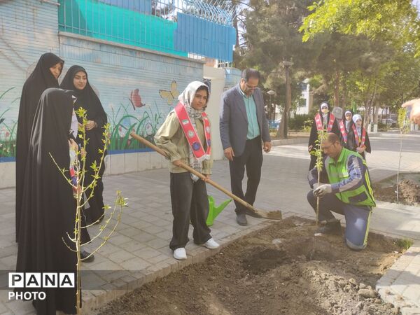 کاشت و پرورش نهال در مدرسه شاهد شهید ناصری
