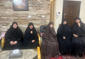 دیدار معاون رئیس‌جمهور در امور زنان و خانواده با مادر شهید باقری