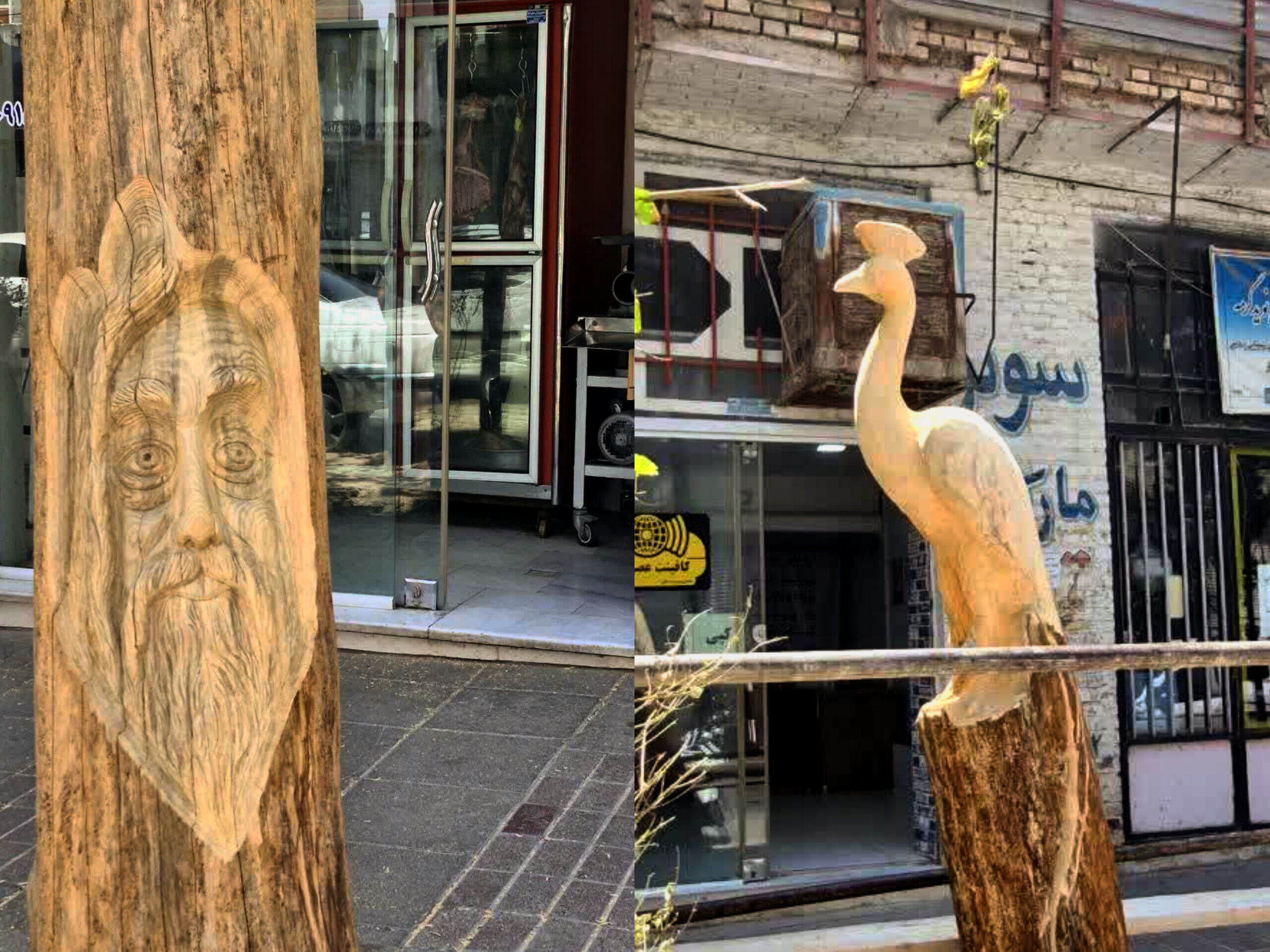 طرح زیباسازی شهری با جان بخشیدن به درختان در گرمه 