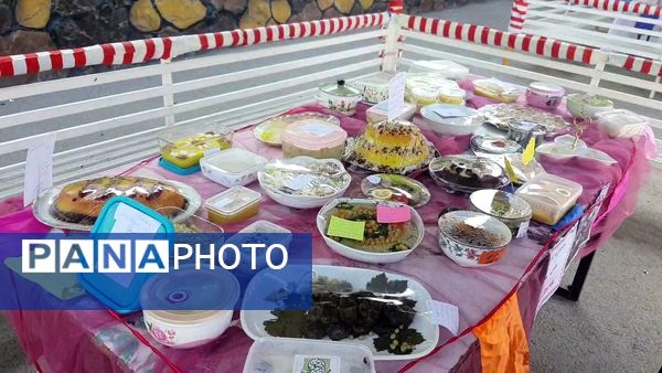 برگزاری اردوی درون مدرسه‌ای و جشنواره غذا در دبستان شاهد تحقیقی ناحیه ۶