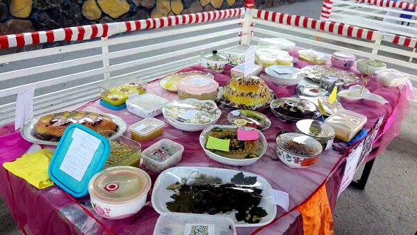 برگزاری اردوی درون مدرسه‌ای و جشنواره غذا در دبستان شاهد تحقیقی ناحیه ۶