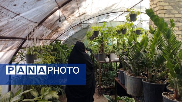 اردوی راهیان پیشرفت در شهرستان خلیل‌آباد 