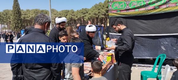 اربعین حسینی در شهرستان کاشمر 