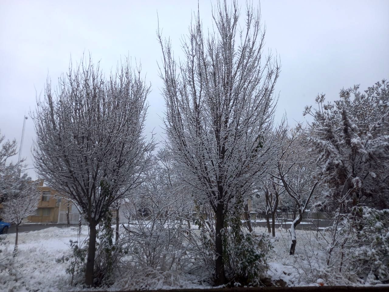 بارش برف لرستان؛ فصل جدیدی از زیبایی و چالش*