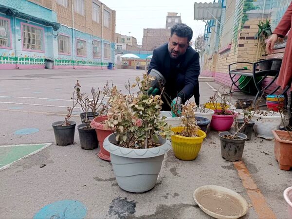 آغاز بهار جوانه سبز سلامتی