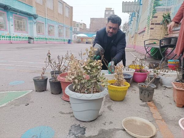 آغاز بهار جوانه سبز سلامتی
