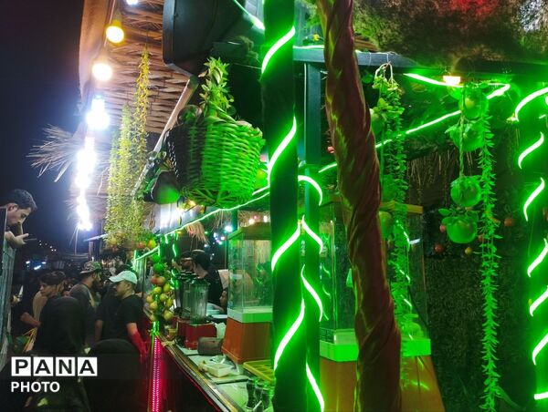طریق‌الحسین(ع) در آستانه کربلا روایتی تصویری از موج عاشقان اربعین