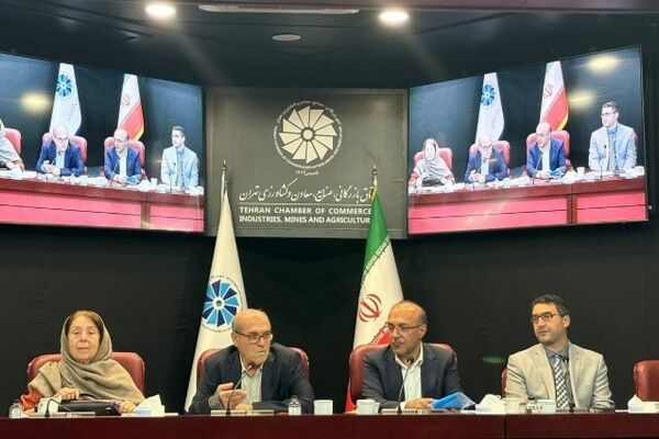 دستیابی به رشد پایدار با  رفع مشکلات فعالان اقتصادی