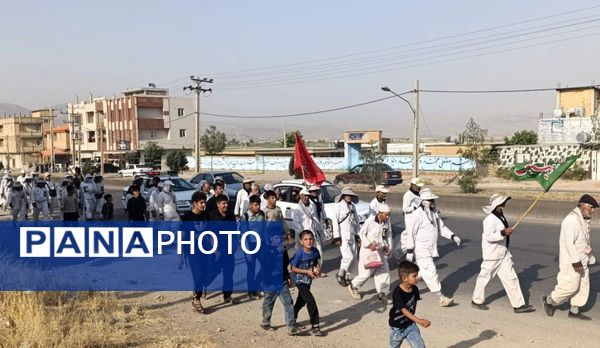 کاروان پیاده انصارالحسین به منطقه خانمیرزا رسید 