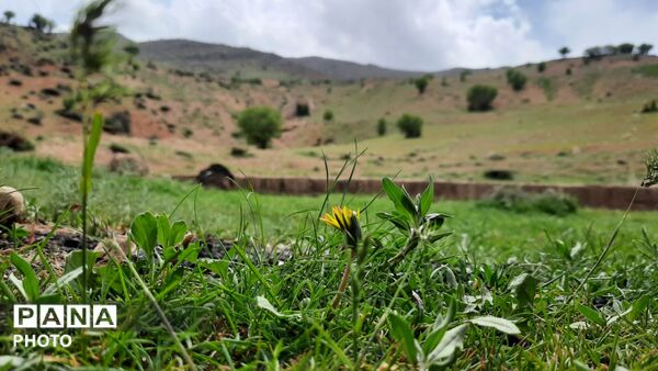 دهنو، نگین چهارمحال؛ کشف گنجینه‌ آرامش در آغوش طبیعت بکر