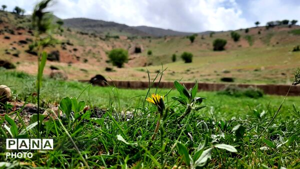 دهنو، نگین چهارمحال؛ کشف گنجینه‌ آرامش در آغوش طبیعت بکر