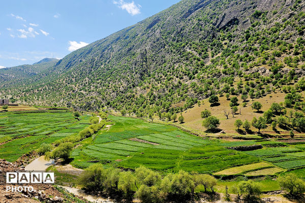مهمان نوازی مردم انقلابی و غیور روستای پل بریده از مسئولین و رزمندگان