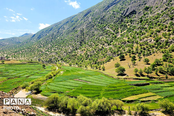 مهمان نوازی مردم انقلابی و غیور روستای پل بریده از مسئولین و رزمندگان