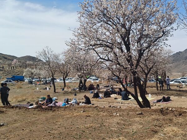 ۱۳ بدر :جشن طبیعت و نشاط در دل بهار