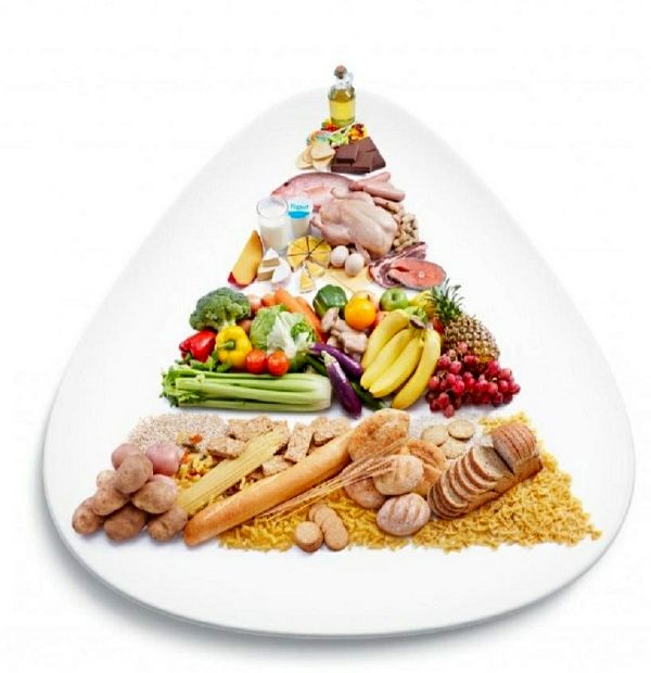 مهمترین اقدام کاهش سوءتغذیه، بهبود زیرساخت‌های کشاورزی است