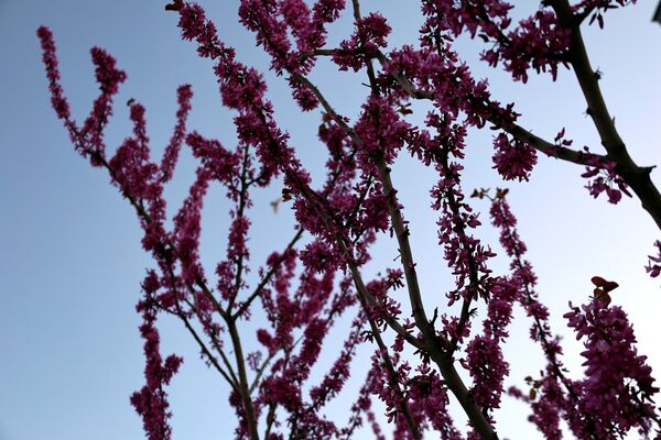 ارومیه شهر رویایی
