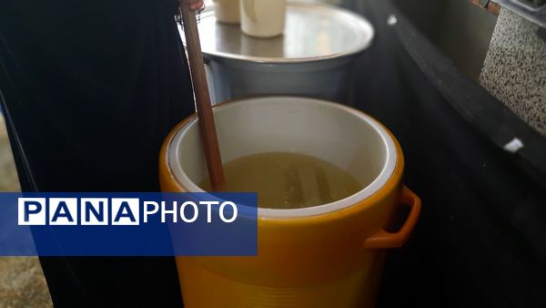 مشارکت نوجوانان عاشورایی در مراسم جاماندگان اربعین حسینی