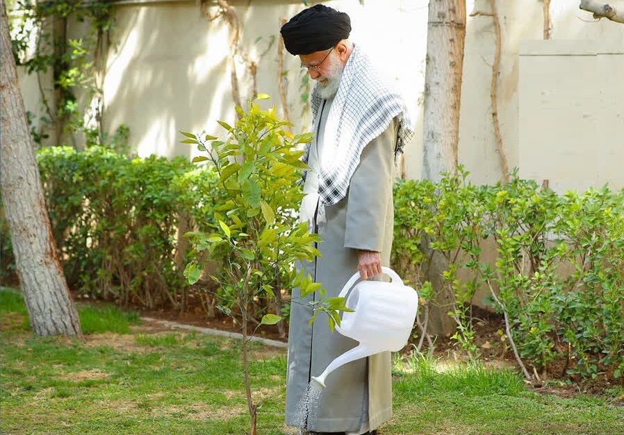 پویش درختکاری به نیت رهبر شهید از سوی جامعه الزهرا(س) برگزار می‌شود