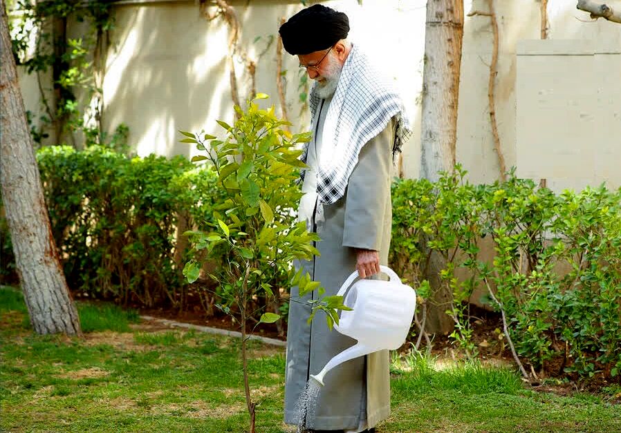 پویش درختکاری به نیت رهبر شهید از سوی جامعه الزهرا(س) برگزار می‌شود