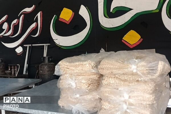 استقرار موکب‌های مردمی، دانش آموزی و خدمت‌رسان ارتش به زائران اربعین