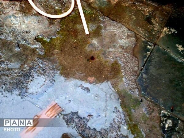 بارش باران بهاری در شهرستان نیشابور