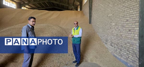 بازدید از مراکز خرید گندم در شهرستان فاروج