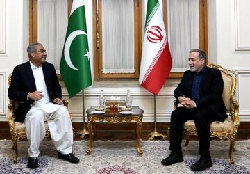 دیدار و گفت‌وگوی وزیر کشور پاکستان با عباس عراقچی