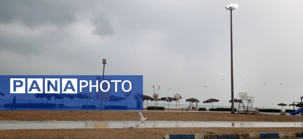 بارش باران چهره بندرعباس را پاییزی و دل‌انگیز کرد