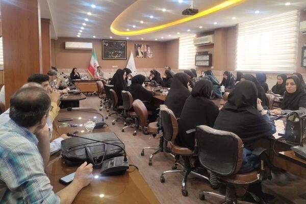ارزیابی آخرین آمادگی‌های مدارس در نشست برخط مدیرکل شهرستانهای تهران