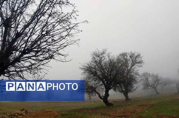 میانکوه سال ۱۴۰۴ خود را متفاوت شروع کرد