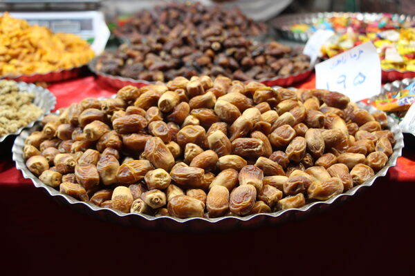 نمایشگاه شب یلدا در باغ دولت‌آباد یزد