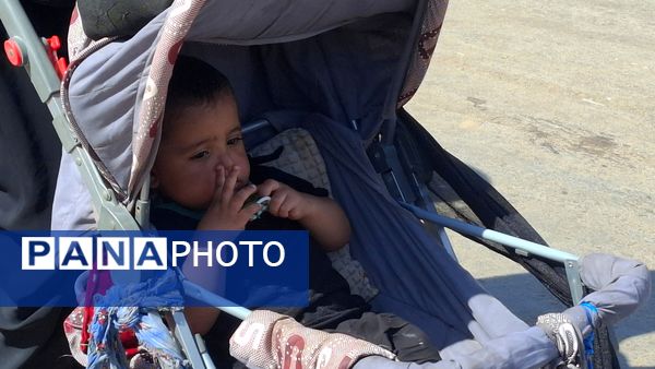 جلوه‌هایی از حضور کودکان در مسیر مشایه نجف تا کربلا