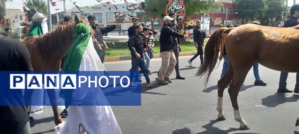  مراسم سوگواره احلی من العسل در البرز