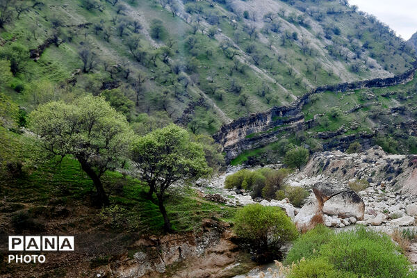 طبیعت روستای بیدله به هنگام بهار