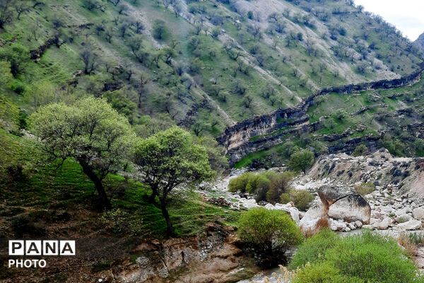 طبیعت روستای بیدله به هنگام بهار