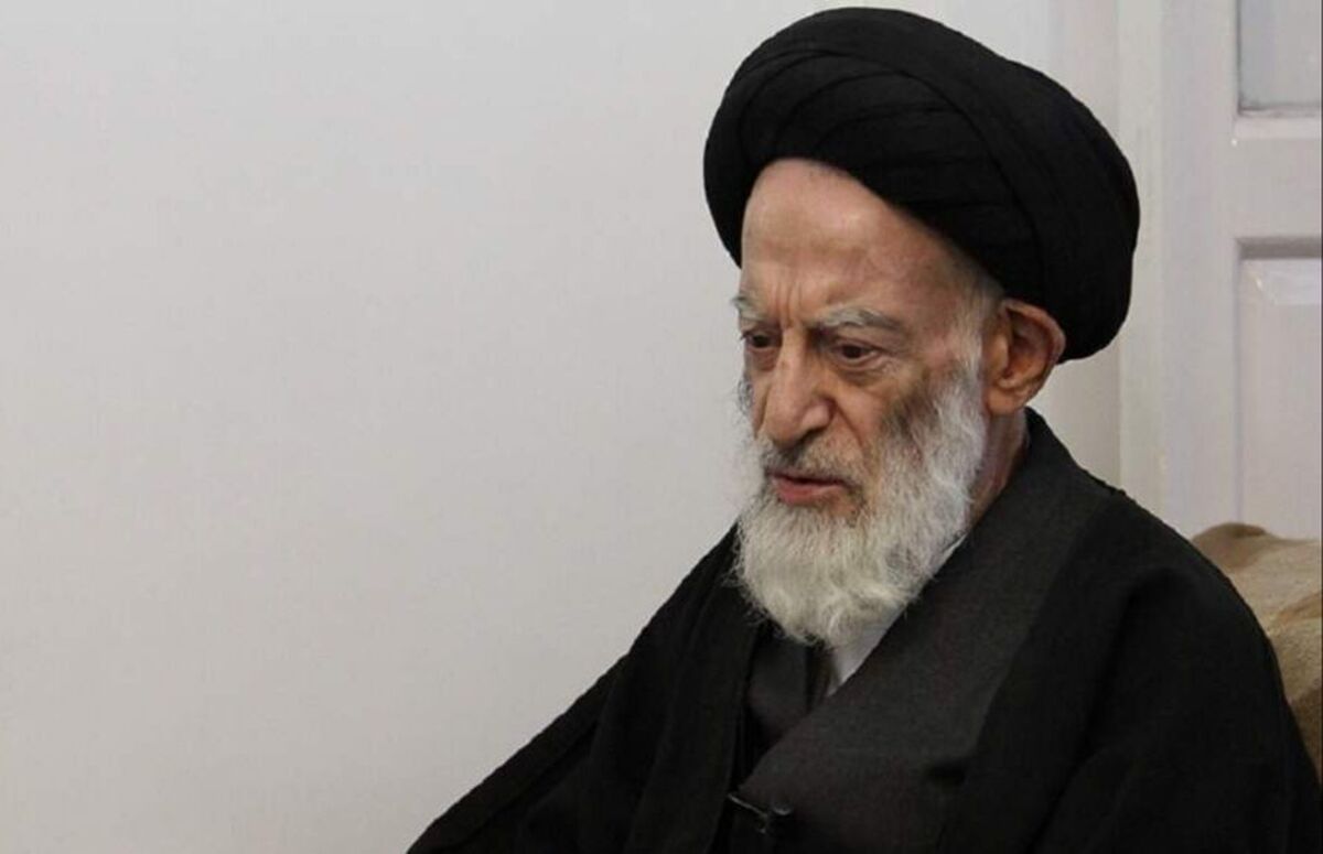 اعلام میزان زکات فطره از سوی آیت‌الله شبیری زنجانی