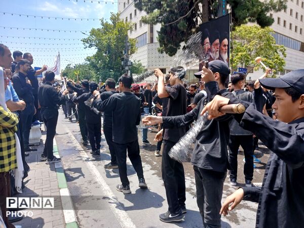 عاشورا؛ روایت دلدادگی در قاب اشک و ارادت 