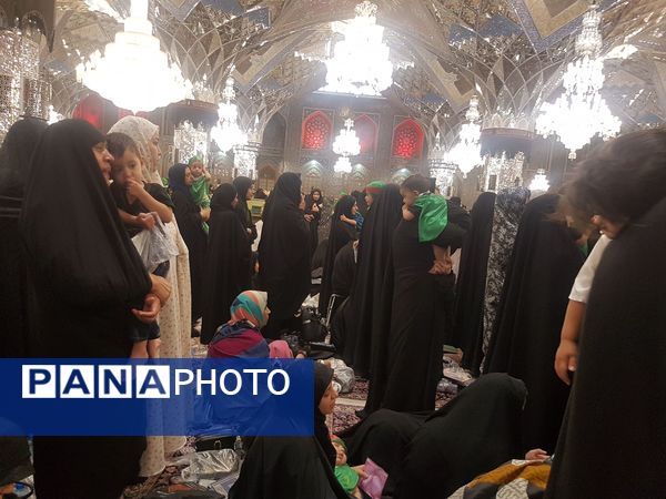 برگزاری بزرگترین اجتماع شیرخوارگان حسینی در حرم مطهر رضوی