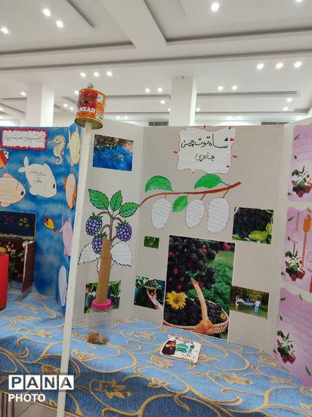 نمایشگاه طرح جابر در تفت
