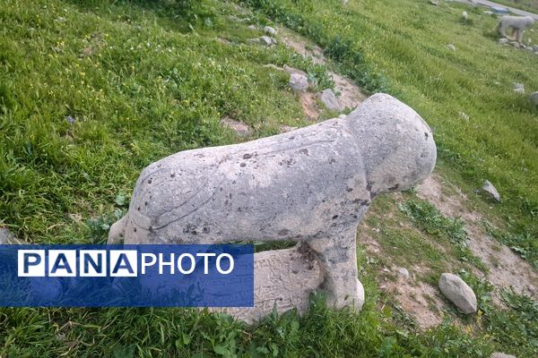 قبرستانی تاریخی و سرسبز به قدمت چند صد ساله در فارس