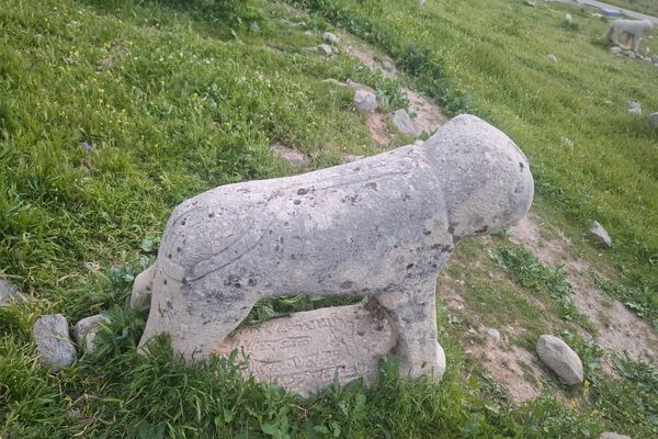 قبرستانی تاریخی و سرسبز به قدمت چند صد ساله در فارس
