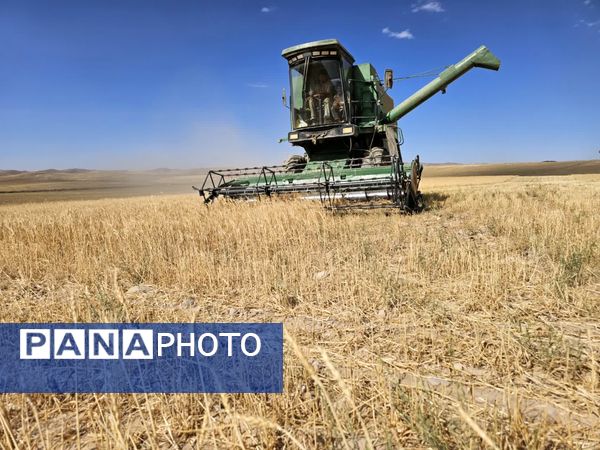 بازدید برداشت گندم در شهرستان فاروج
