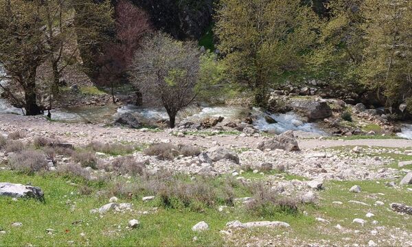 طبیعت روستای بارز، طبیعتی زیبا در دل استان چهارمحال‌وبختیاری 