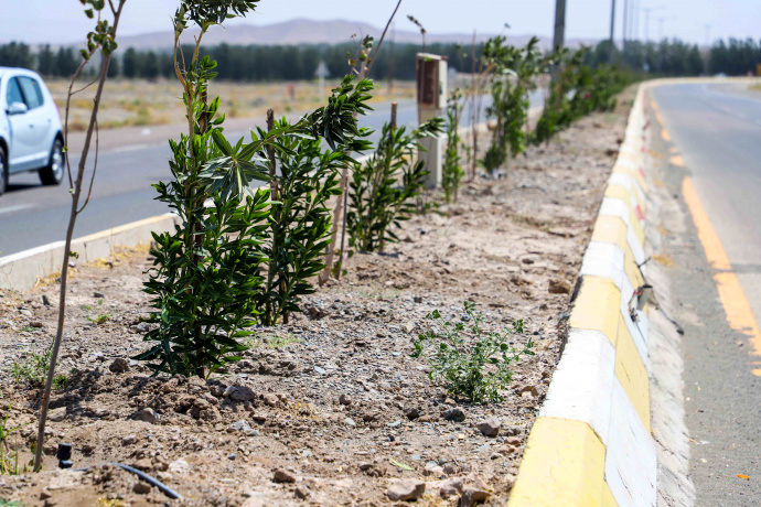  صرفه جویی۵۰۰ هزار متر مکعبی آب در بیرجند