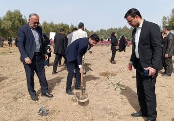 سپردن نهال‌ها به جانِ خاک با دستان خوزستانی‌ها