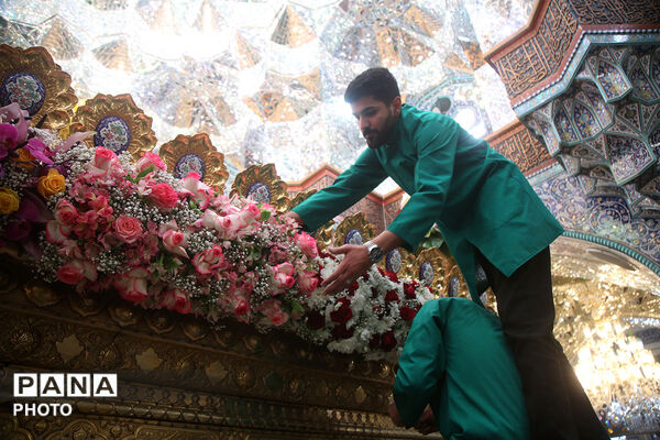 گل آرایی ضریح مطهر حضرت معصومه(س) در شب میلاد امام رضا(ع)