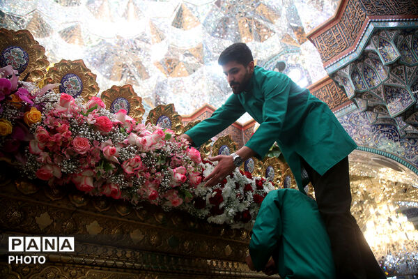 گل آرایی ضریح مطهر حضرت معصومه(س) در شب میلاد امام رضا(ع)