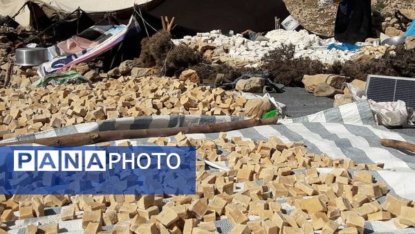  سرزمین عشق در دل سختی‌ها