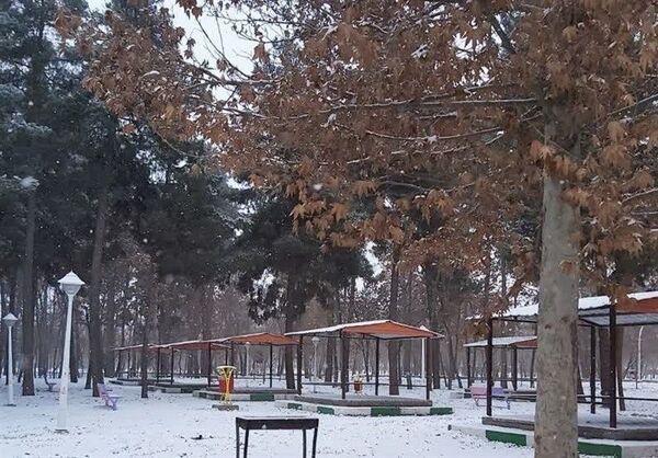 بارش برف در مشهد